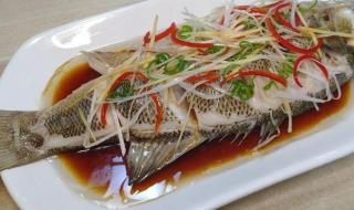 为什么鲈鱼尽量少吃 广州鲈鱼为何要少吃